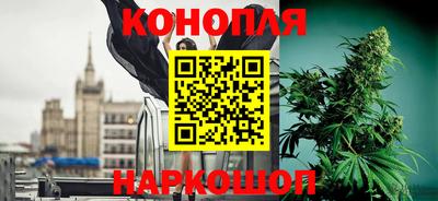 прущие грибы Малоярославец