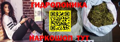 прущие грибы Малоярославец